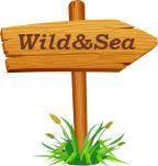 wild Sea
